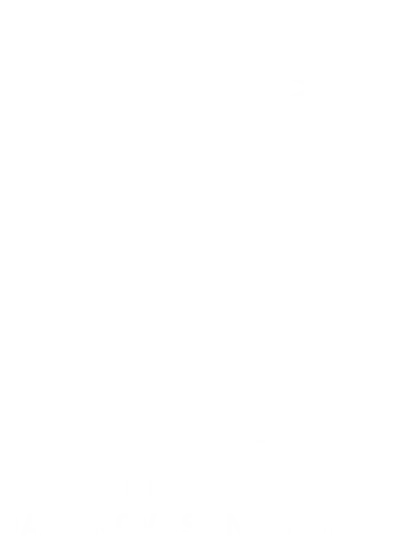 BRIN logo png white download