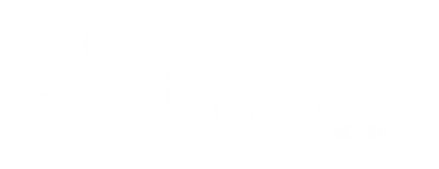 BRIN logo png white download