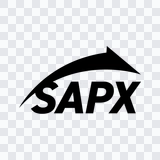 SAP Express black icon PNG