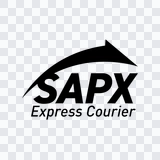 SAP Express black logo PNG