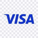 Visa colored logo SVG
