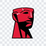 Kingston colored icon SVG