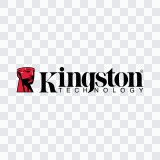 Kingston colored logo SVG
