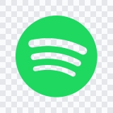Spotify colored icon SVG
