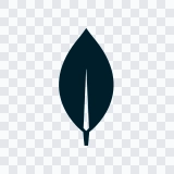 MongoDB colored icon SVG