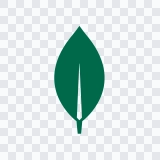 MongoDB colored icon SVG