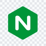 NGINX colored icon SVG