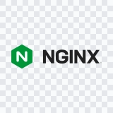 NGINX colored logo SVG