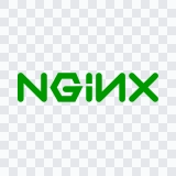NGINX colored logo SVG