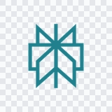 Perplexity colored icon PNG