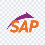 SAP Express colored icon SVG