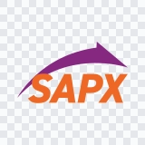 SAP Express colored icon SVG