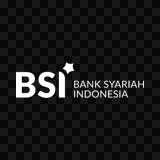 Bank BSI light logo PNG