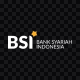 Bank BSI light logo PNG