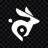 bunny.net white icon PNG
