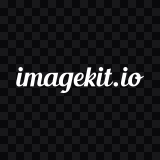 ImageKit white logo SVG