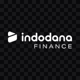 Indodana white logo PNG