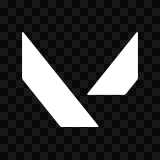 VALORANT white icon SVG
