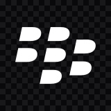 BlackBerry white icon SVG