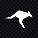 Roo Code white icon SVG