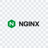 NGINX logo