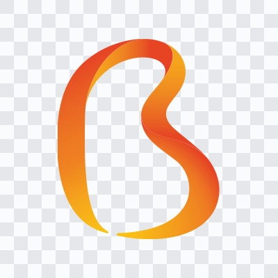 Biznet colored icon SVG