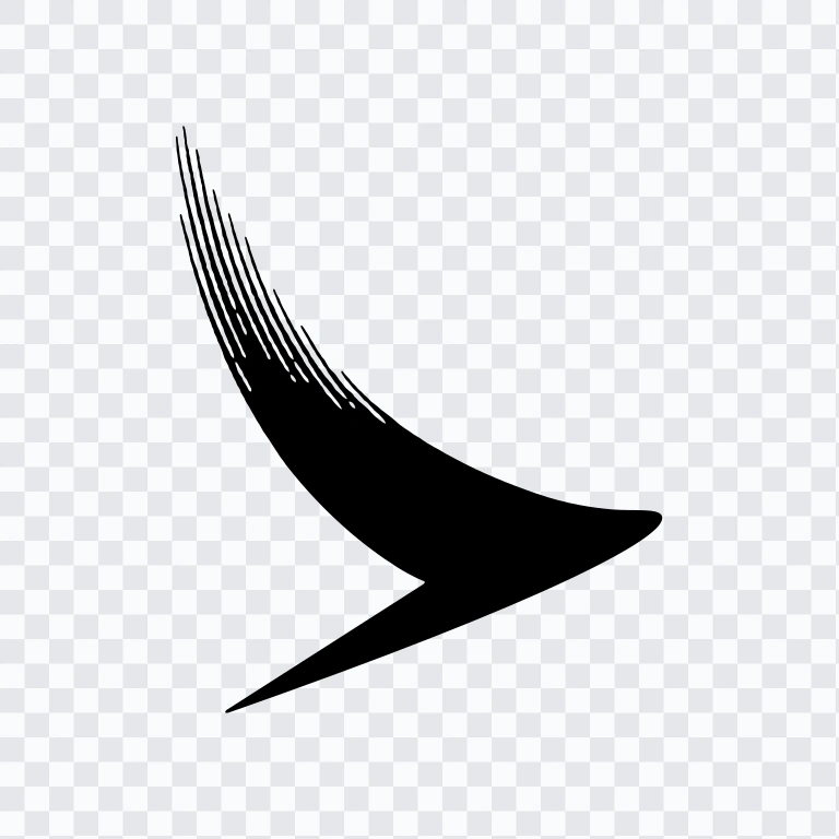 Cathay Pacific black icon SVG