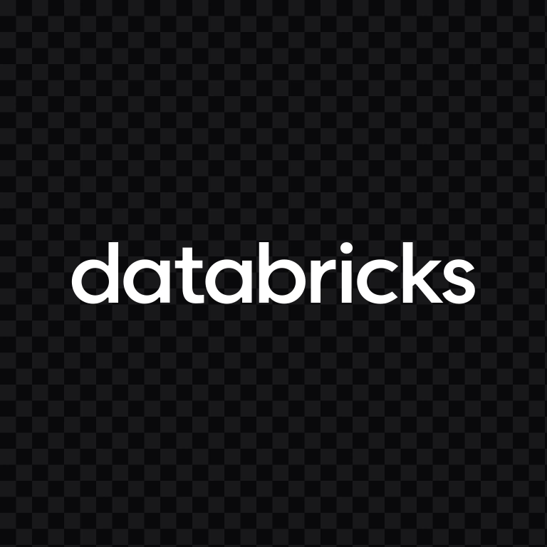 Databricks white wordmark SVG