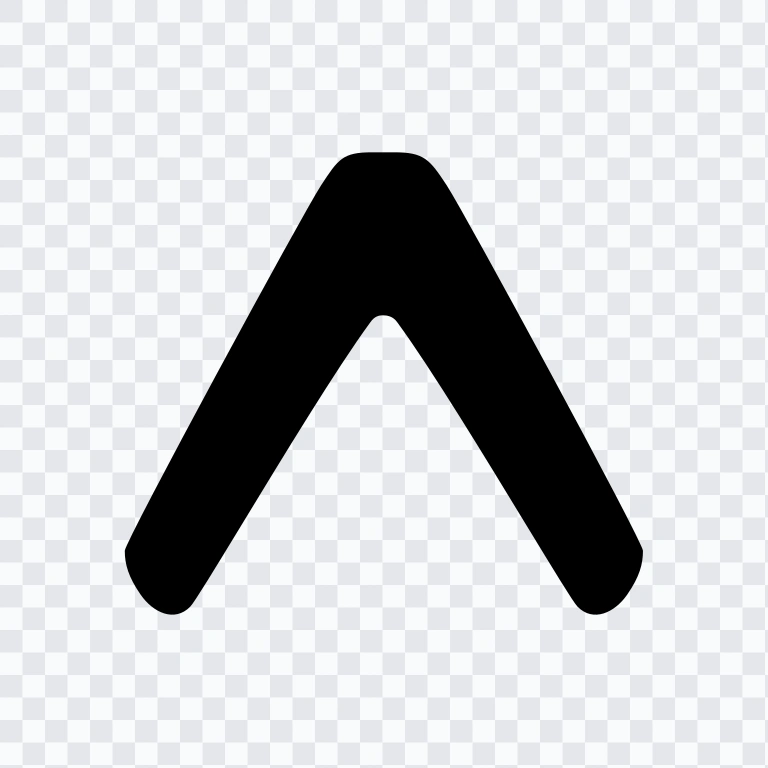 Expo black icon SVG