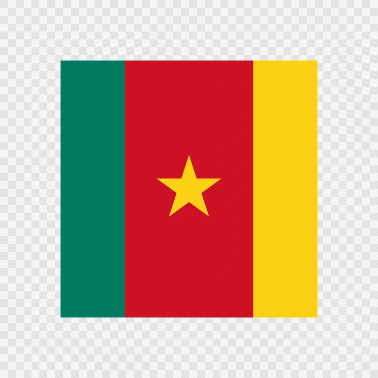 Cameroon square flag icon