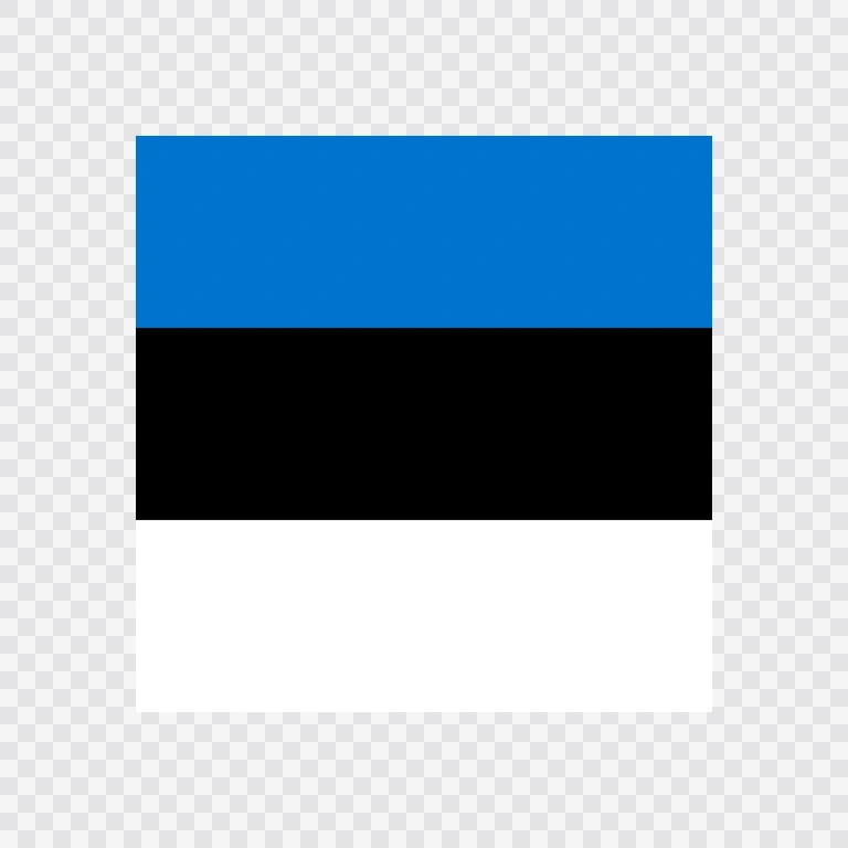 Estonia square flag icon