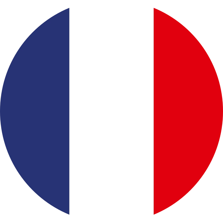 France circle flag icon