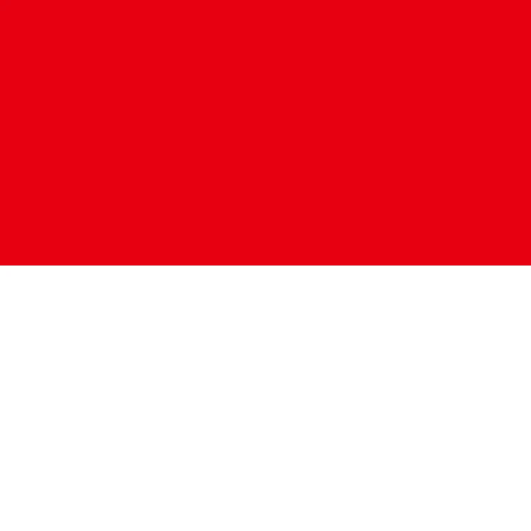 Indonesia square flag icon