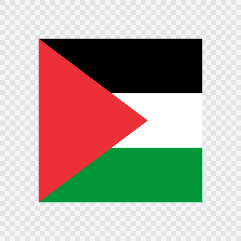 Palestine square flag icon