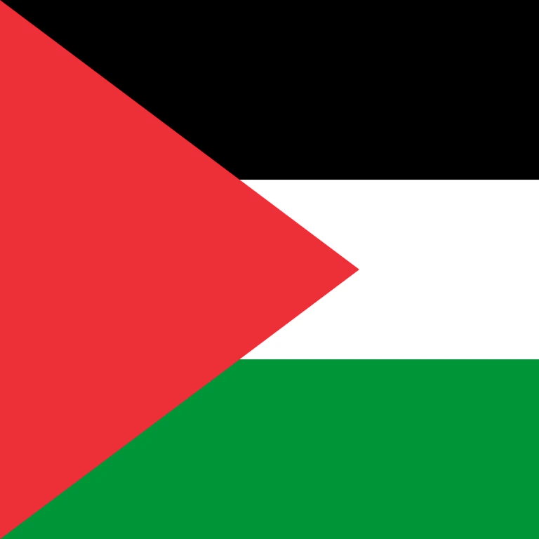 Palestine square flag icon