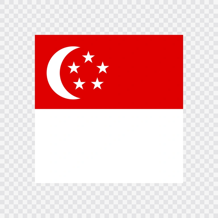 Singapore square flag icon