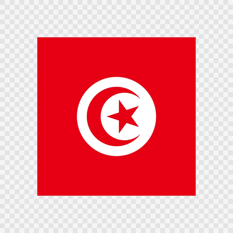 Tunisia square flag icon