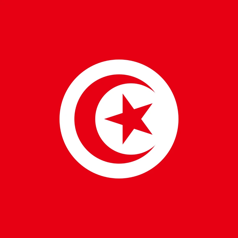 Tunisia square flag icon