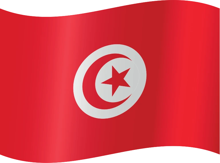 Tunisia waving flag