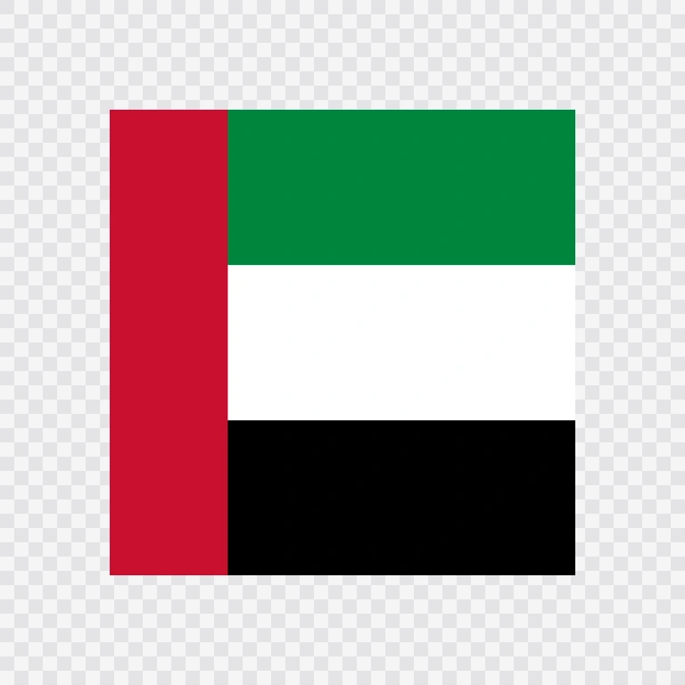 United Arab Emirates square flag icon