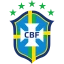 Brazil National Team Main logo