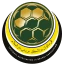 Brunei Darussalam logo