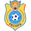 Congo DR logo
