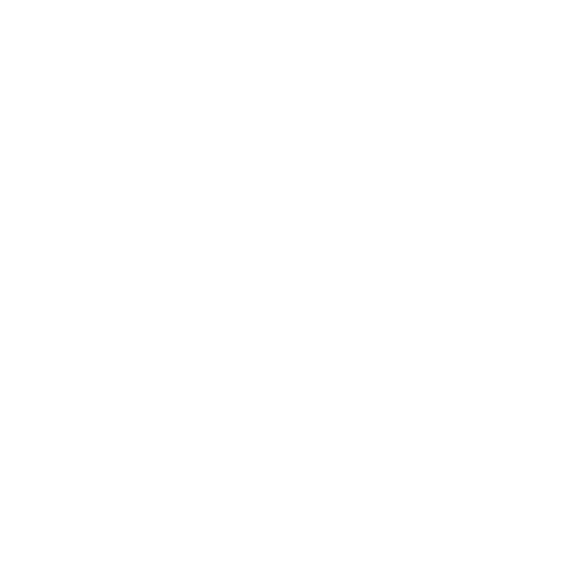 Germany National Team White logo