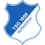 Hoffenheim logo