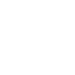 Indonesia Super League White logo