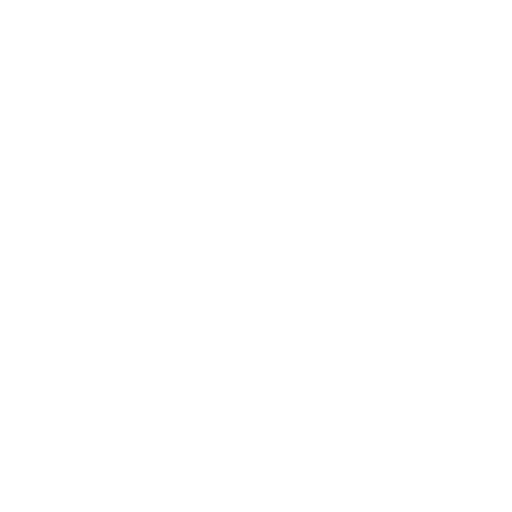 Lecce White logo
