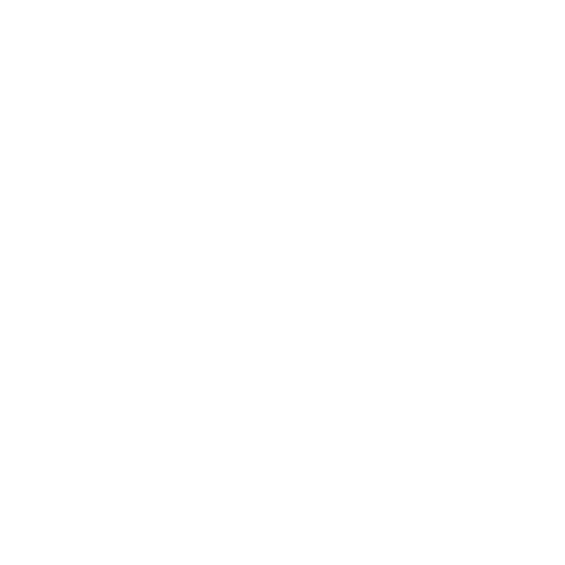 Mexico National Team White logo