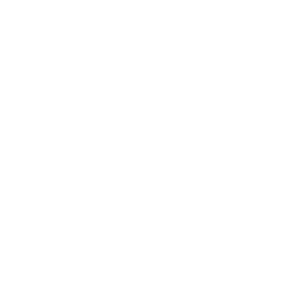 Mexico National Team White logo