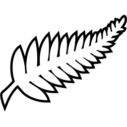 New Zealand National Team logo